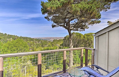 Inverness House | Wooded Inverness Escape - Walk to Beaches!