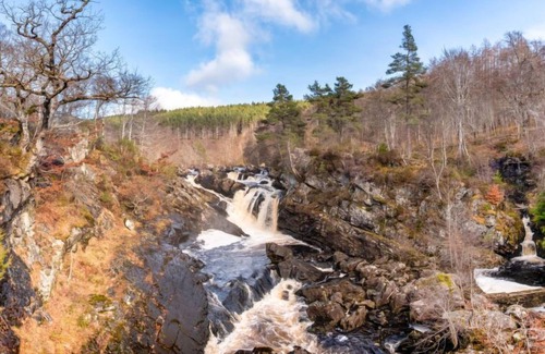 Balnain Apartment | Woodlands by Interhome