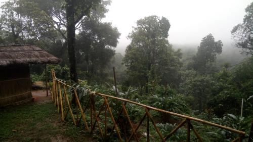 Devikolam House | woodsNmist