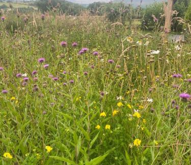 Bolton by Bowland Other | Woody's Retreat