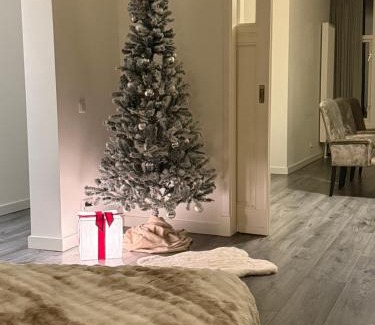 Delfshaven Villa | Woonhuis 170m2 Rotterdam Centrum