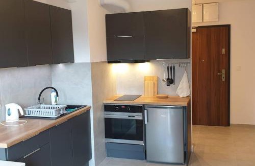 Pradnik Czerwony Apartment | Wygodny apartament niedaleko centrum by Krakow Home