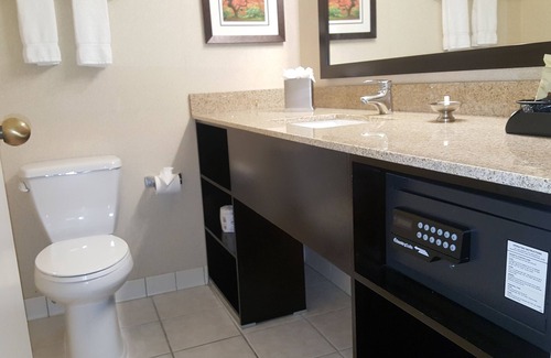 Burnsville Hotel | Wyndham Minneapolis South/Burnsville