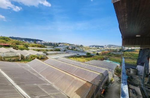 Da Lat Cabin | Xóm nhà lá homestay