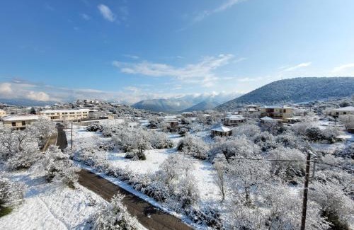 Levidi House | Xenonas Epavli