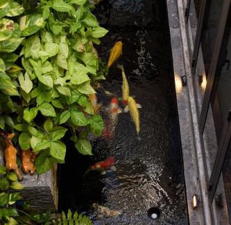 Hue City Centre Villa | Yên Riverside Villa - Homestay Huế