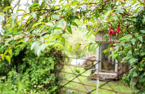 Cardigan House | Y Caban - Cosy Cabin in Pembrokeshire