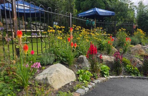 Dolwyddelan Hotel | Y Gwydyr Hotel - Dolwyddelan