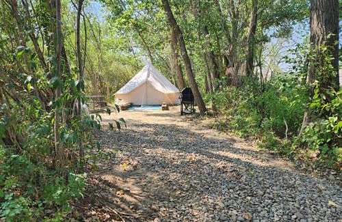 Rosedale Other | #Y3 Willow Tree Yurt