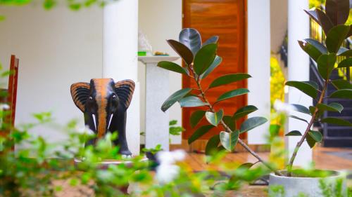 Yodakandiya Hotel | Yala Safari River View Hotel