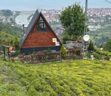 Ardesen Cabin | Yamaçdere Bungalov