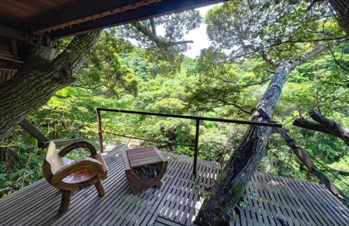 Higashi Hotel | Yambaru Wild Treehouse Kidzy