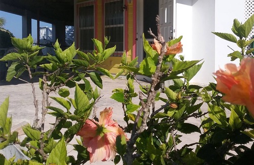 Crossing Rocks House | YELLOWBIRD, SECLUDED BEAUTIFUL BUNGALOW WITH MAGNIFICENT ATLANTIC OCEAN VIEWS