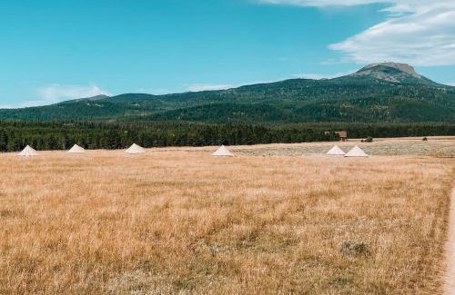 Island Park Other | Yellowstone Glamping