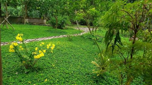 Ninh Binh Cabin | Yen Binh Homestay