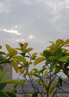 Agra House | Yogam Homestay Agra