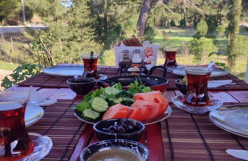 Cavuskoy Bed & Breakfast | Yolda cafe bungalow