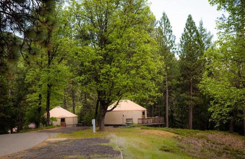 Harden Flat Resort | Yosemite Lakes Hillside Yurt 5