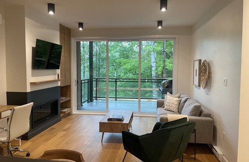 Owl's Head Ski Resort Condo | You’ll fall in love! Brand new family unit at Mont Owl’s Head with a dock!