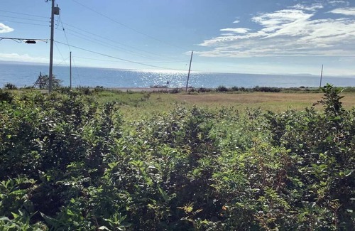 Scots Bay Cottage | Your adventure begins at Driftwood & Wild Roses Cottage, Scot’s Bay, Nova Scotia