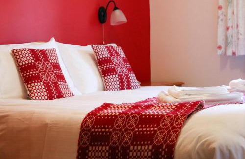 Felinfach House | Yr Onnen Aberaeron