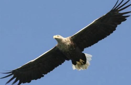 Stamsund House | Ytterviks Rorbu Lofoten Welcome 欢迎