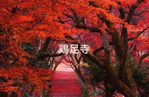 Nagahama Apartment | YURURIBASE 凛 in Nagahama contactless checkin