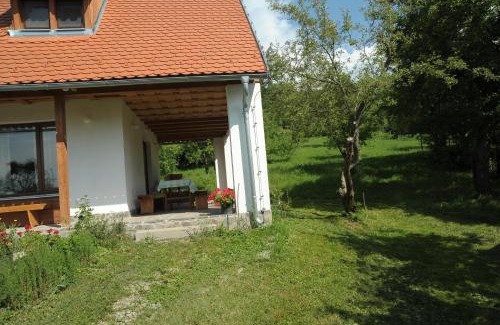 Bicfalau Bed & Breakfast | Zöld Diófa Panzió