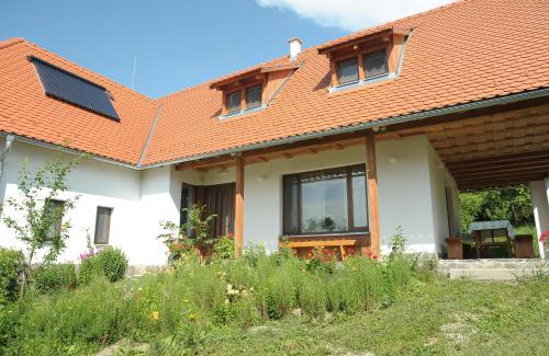 Bicfalau Bed & Breakfast | Zöld Diófa Panzió