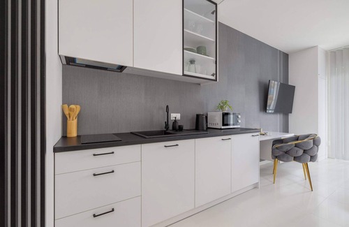 Katowice Apartment | Zabrska 15 Katowice | Silver Studio with Parking and Desk