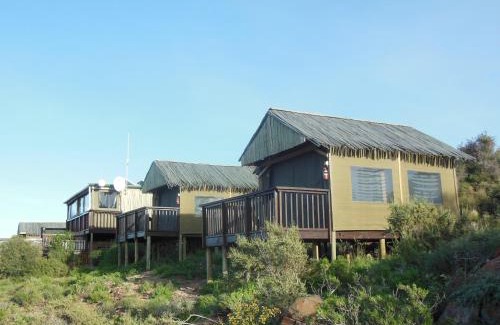 Plathuis Other | Zandfontein Bush Camp and Game Farm