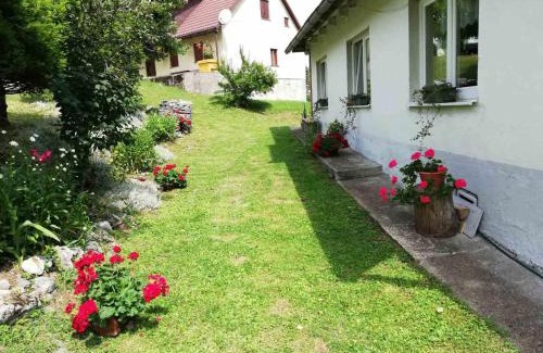Brestova Draga House | Zeleni brig