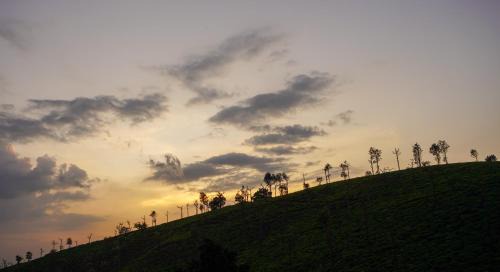 Valparai Hotel | Zen Vista
