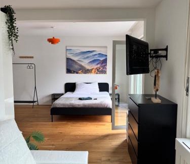 St. Gallen Apartment | Zentrales Apartment St Gallen