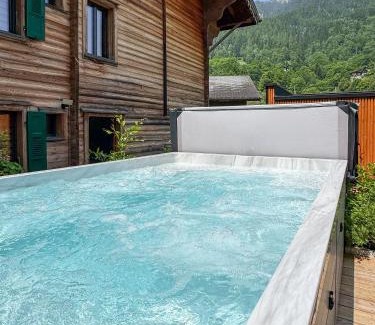 Fiesch Apartment | Zer Treichi Appartements