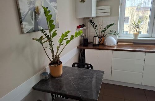 Bielany Apartment | Zeromskiego Apartment - Warsaw