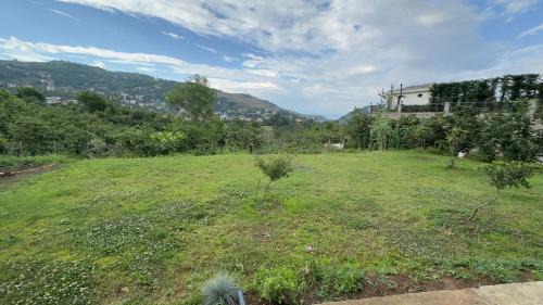 Trabzon Villa | Zeytin Dalı Villa