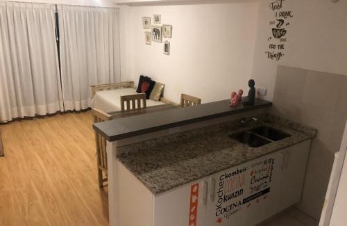 Colegiales Apartment | Zgodan