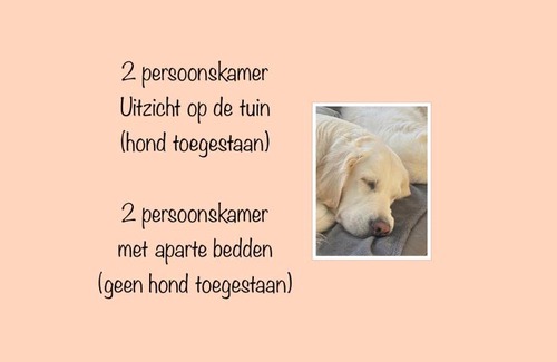 De Cocksdorp Bed & Breakfast | Zilt Texel