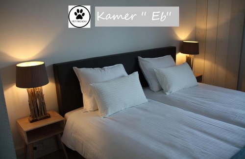 De Cocksdorp Bed & Breakfast | Zilt Texel