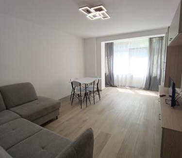 Suceava Apartment | Zlata Bucovina Apartment