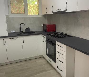 Suceava Apartment | Zlata Bucovina Apartment