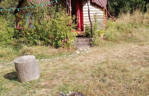 Banne Other | Zome Yourte