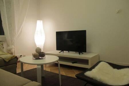 Alt-Wiedikon Apartment | Zurich Furnished Apartments