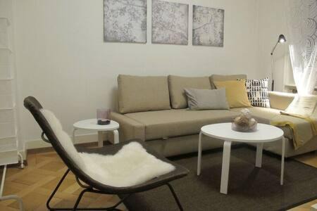 Alt-Wiedikon Apartment | Zurich Furnished Apartments