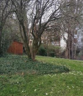 Alt-Wiedikon Apartment | Zurich Furnished Apartments