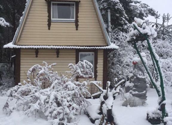 Гнездо аиста