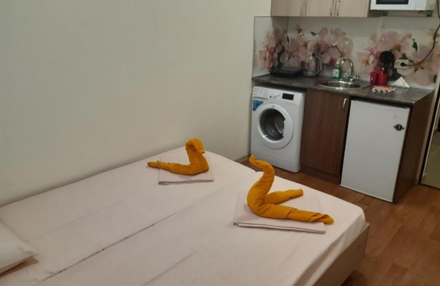 Двухместная студия на Гагарина