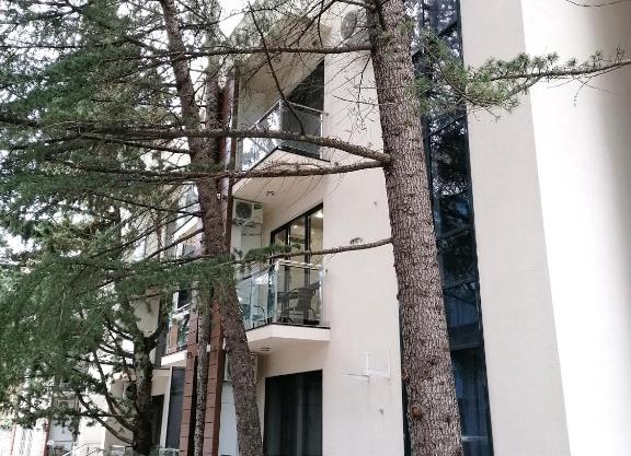 Мадрид Парк 2 - "Видный" Апартаменты Сочи Адлер Курортный городок