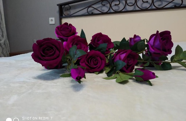 Цитадель на архитекторов 17 люкс